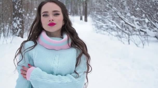 Stylish young woman walking towards winter forest — Stock Video