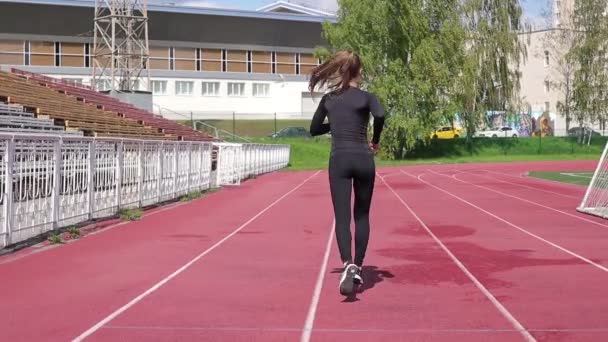 Slim woman running on racetrack in sunshine — Stock Video