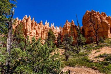 Bryce Kanyonu Ulusal Parkı, Utah, ABD