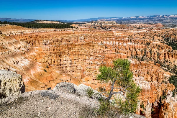 Bryce Kanyonu Ulusal Parkı, Utah, ABD