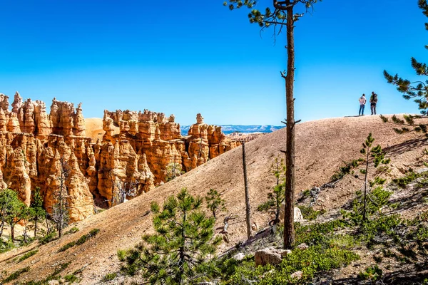 Kırmızı kumtaşı Kanyon kayalıklarla, Bryce Canyon Milli Parkı, Utah, ABD