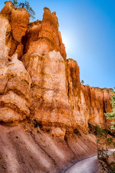 Kırmızı kumtaşı Kanyon kayalıklarla, Bryce Canyon Milli Parkı, Utah, ABD