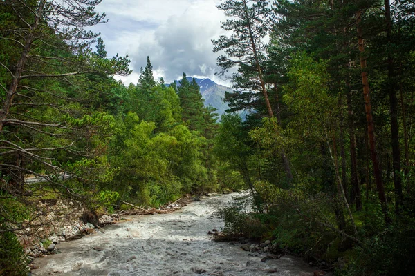 Rio da montanha na floresta — Fotografia de Stock
