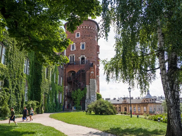 Krakow, Polonya. Wawel royal castle tarihi ve Katedrali