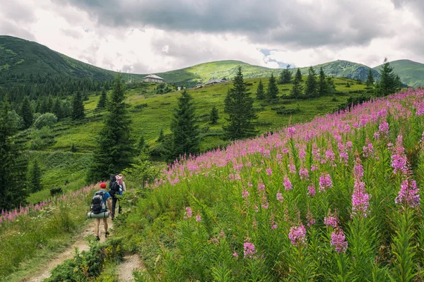 夏の山、緑の芝生と青い空の風景 — ストック写真