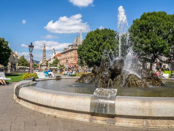 Çeşme ve Andre ßy Sarayı Kosice, Slovakya