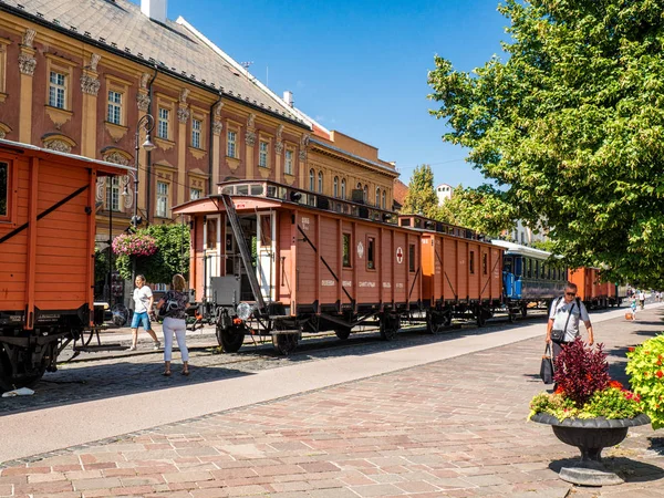 Kosice Çekoslovakya Çöl Kaplanı tren