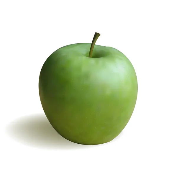 Manzana verde fresca realista, aislada sobre fondo blanco . — Vector de stock