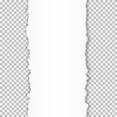 Gerçekçi vektör metin için yer ile sökük kenarlı kağıt yırtılmış.