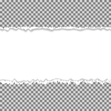 Gerçekçi vektör metin için yer ile sökük kenarlı kağıt yırtılmış.