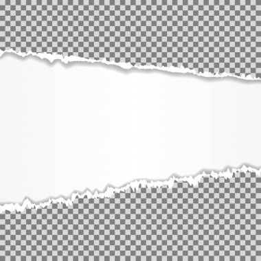 Gerçekçi vektör metin için yer ile sökük kenarlı kağıt yırtılmış.