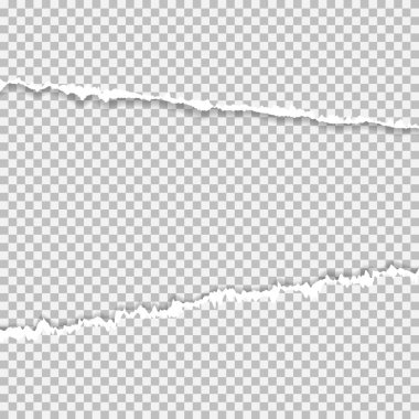 Gerçekçi vektör metin için yer ile sökük kenarlı kağıt yırtılmış.