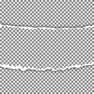 Gerçekçi vektör metin için yer ile sökük kenarlı kağıt yırtılmış.