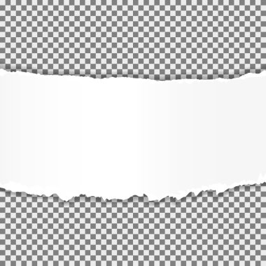 Gerçekçi vektör metin için yer ile sökük kenarlı kağıt yırtılmış.