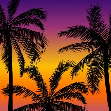 Gerçekçi palmiye ağaçları siluet tropikal grunge günbatımı plaj zemin üzerine kartıyla.