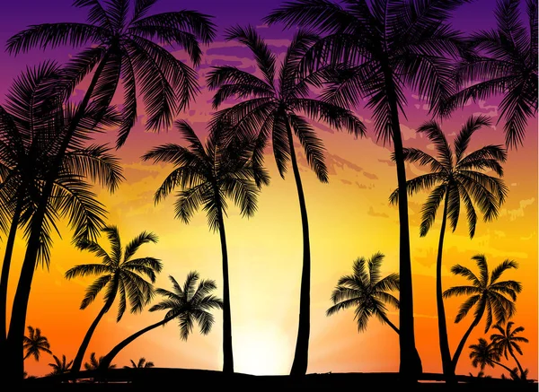 Kaart met realistische palm bomen silhouet op tropische grunge sunset beach achtergrond. — Stockvector