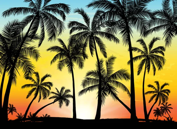 Kaart met realistische palm bomen silhouet op tropische grunge sunset beach achtergrond. — Stockvector