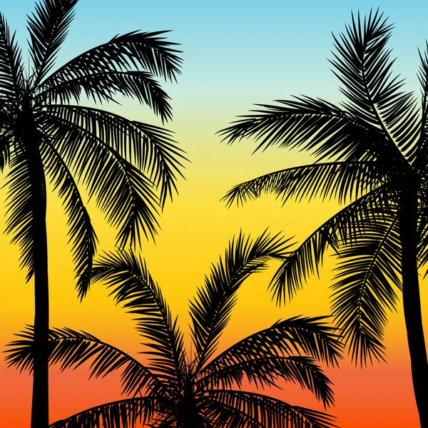 Tarjeta con silueta de palmeras realistas sobre fondo de playa de puesta de sol grunge tropical . — Vector de stock