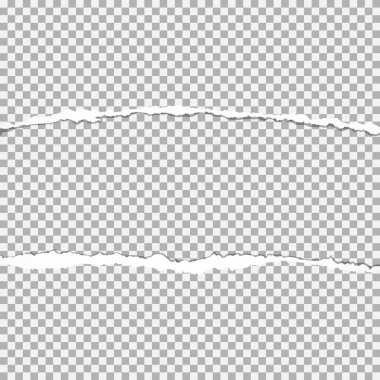 Metniniz için alanı ile sökük kenarlı kağıt (Kağıt delik) yırtık gerçekçi vektör.