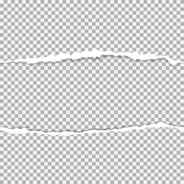 Kağıt kenarları, kesintisiz yatay olarak parçalanmış.