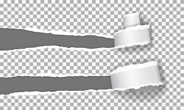 Metniniz için alanı ile sökük kenarlı kağıt (Kağıt delik) yırtık gerçekçi vektör.