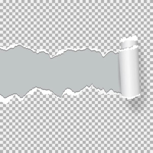 Papel rasgado vector realista (agujero en el papel) con bordes rasgados con espacio para el texto . — Vector de stock