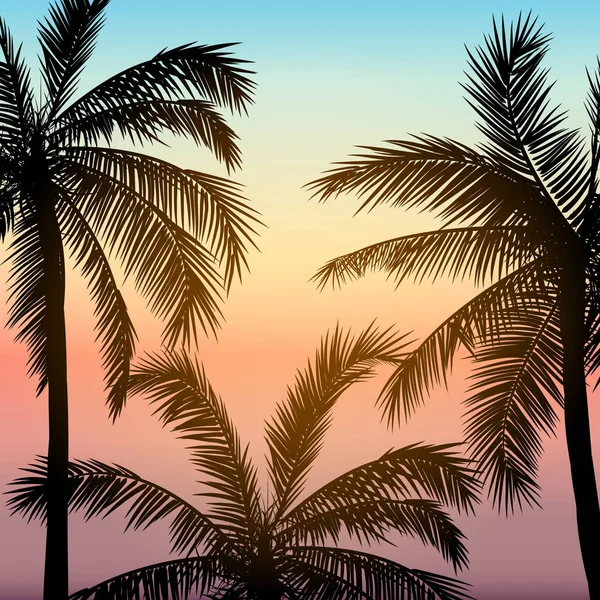 Karte Mit Realistischen Palmen Silhouette Auf Tropischen Grunge Sonnenuntergang Strand — Stockvektor