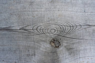 Eski dokulu ahşap kesiği. Doğal gri arkaplan.