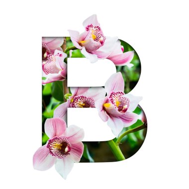 Çiçek yazı tipi. B harfi doğal çiçeklerden yapılmıştır. Güzel orkidelerin kompozisyonu. Tropikal bitkiler şeklinde metin.
