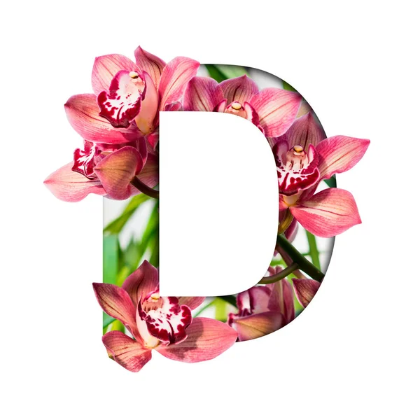 Flower font. Letter D made from natural flowers. Composition of beautiful orchids. Text in the form of tropical plants. — 스톡 사진