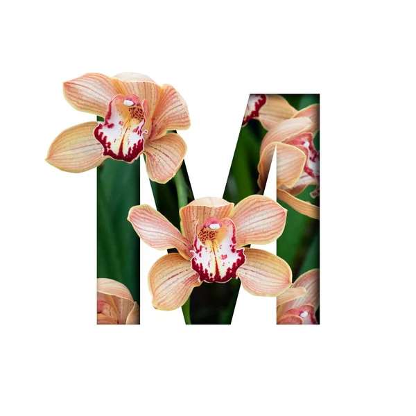 Flower font. Letter M made from natural flowers. Composition of beautiful orchids. Text in the form of tropical plants.