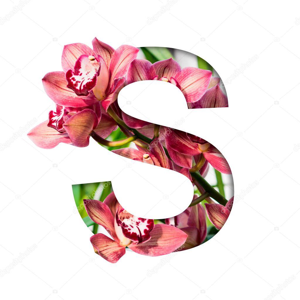 Flower font. Letter S made from natural flowers. Composition of beautiful orchids. Text in the form of tropical plants
