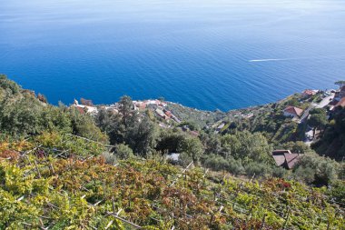 Rüzgar türbinleri bulutlu mavi gökyüzü üzerinde