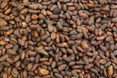 Tost kakao çekirdekleri yığını 