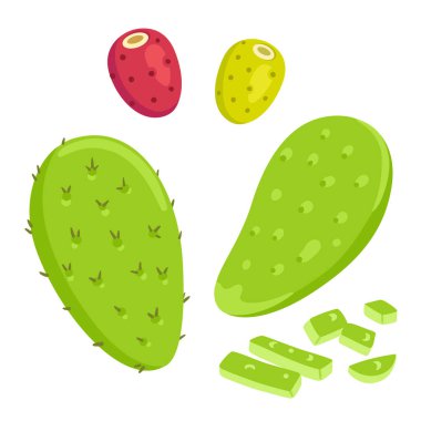 Nopal cactus with prickly pears clipart