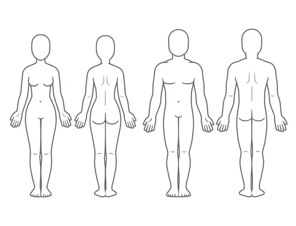 男性と女性の身体の前面と背面 — ストックベクタ