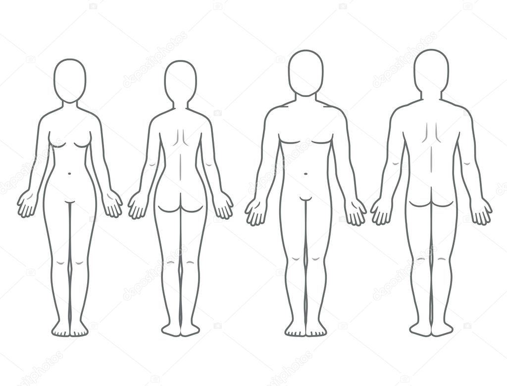 Male and female body front and back