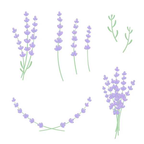 Fundo Floral Sem Costura Raminhos Lavanda Flores Folhas —  Vetores de Stock