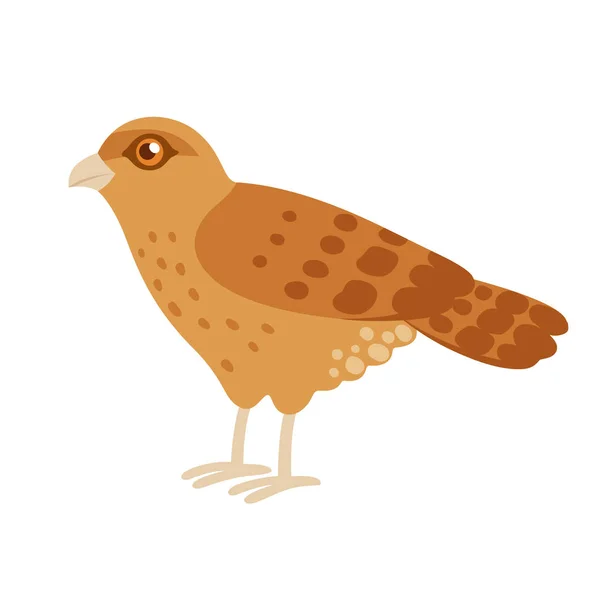 Tiuque, Chimango Caracara — Vector de stock