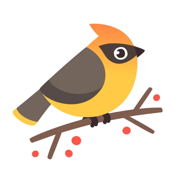 Cute waxwing illustration — Stock Vector