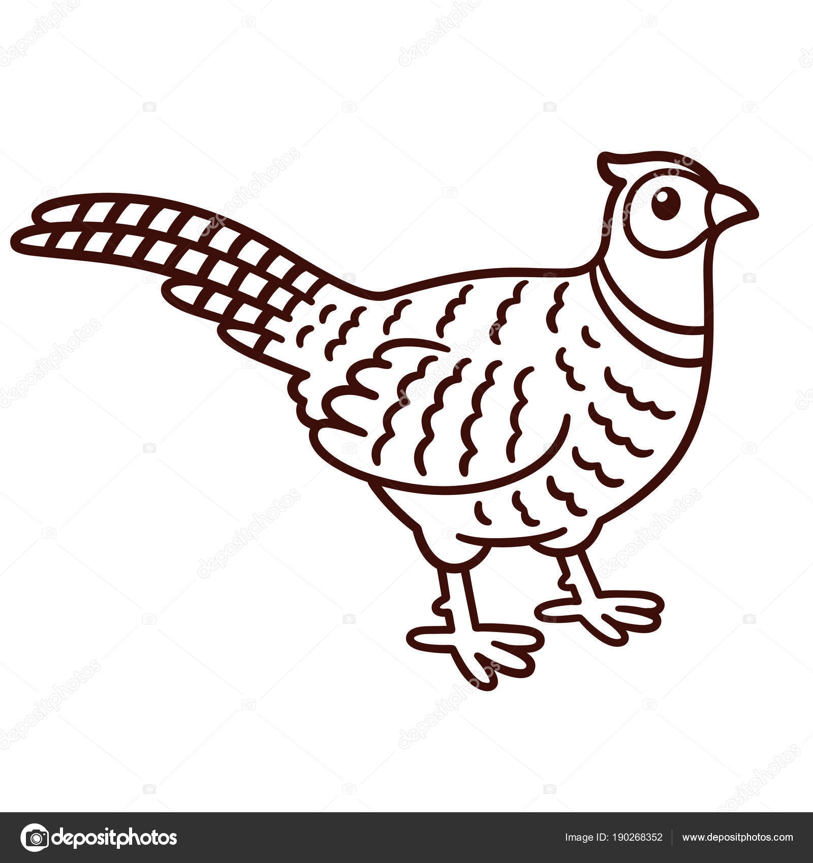 Image vectorielle Dessin de faisan de style dessin animé par ©Sudowoodo -  190268352, image size:1600x1700