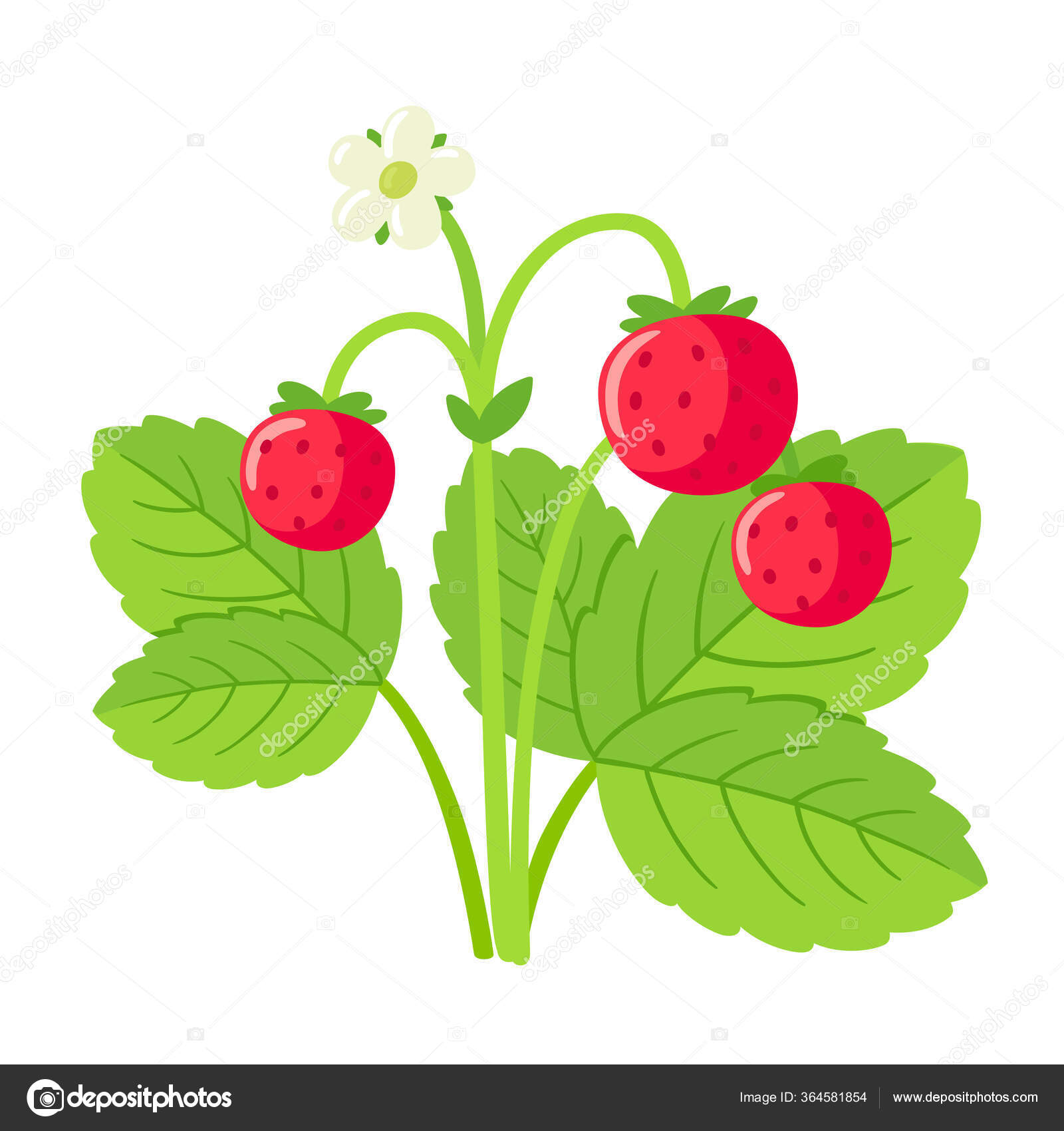 Wild Strawberry Plant Drawing Leaves Flower Ripe Berries Cute Cartoon Stock Vector Image by