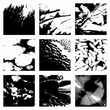 siyah grunge tasarım öğesi ayarla