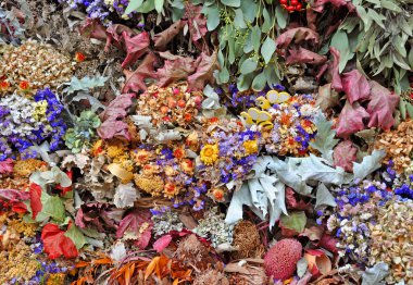 Kurutulmuş çiçek ve yaprak 