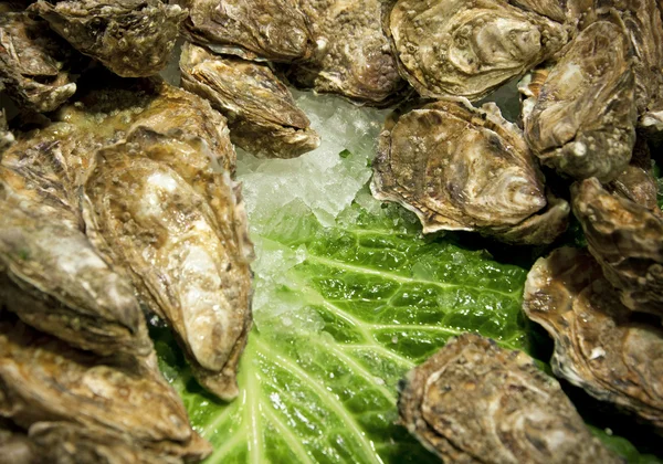 Deliziosi cockles bolliti o al vapore sul piatto — Foto Stock