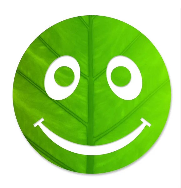 Ecology friendly icon — Stock Photo, Image