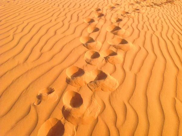 Footprints in the sand