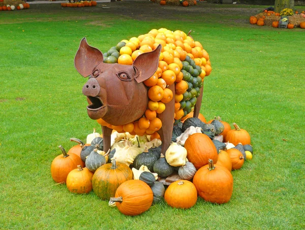 Schweinemastanlage im Park. — Stockfoto