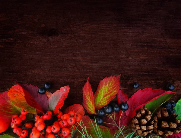 Eski ahşap doku. Sonbahar arka plan.  