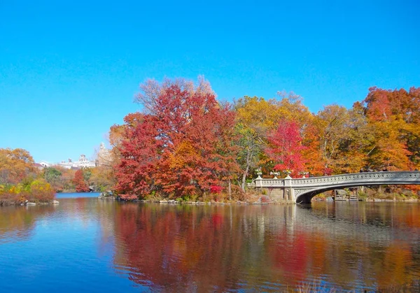 Central Park'ta yansımaları ile göl — Stok fotoğraf